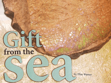 Gift from the Sea