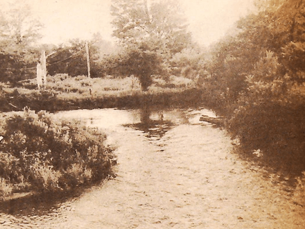 The Mystery of Vermont’s Gold Brook
