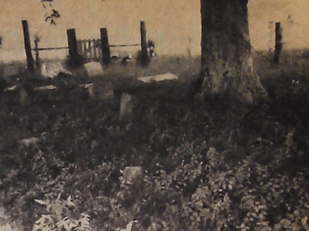 Ex-Slave’s Buried Gold