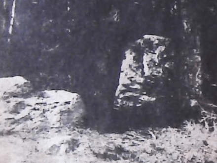 A Treasure Mini-Novel – Part II, The Second Attempt