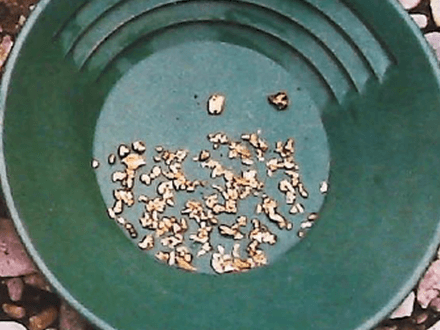 Alaska ’99 Cruise &amp; Expedition