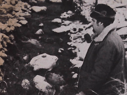 Fabulous Diamond Necklace Still Missing