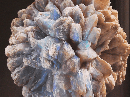 Royal Peacock Mine and the Opal Office