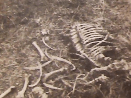 Oklahoma Buried Treasure