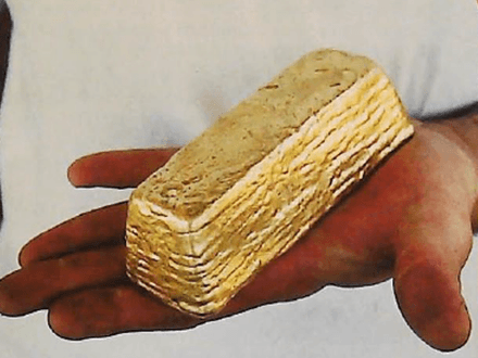 The Australia Expedition