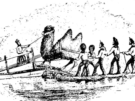 Lieutenant Beale’s Camel Corps