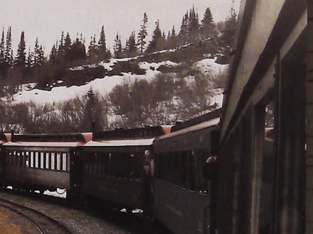 Journey to Skagway, Alaska