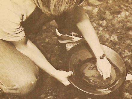 “How to Moss for Gold