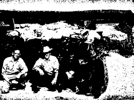 The Bundy Avant Story