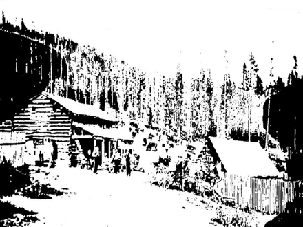 Gold Trail—Thunder Mountain 1902