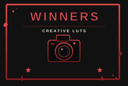 TW "WINNERS" LUTS - 8 PACK OF CINEMATIC LUTS