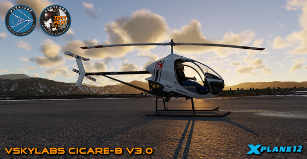 VSKYLABS Test-Pilot: Cicare-8 Project