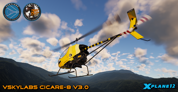 VSKYLABS Test-Pilot: Cicare-8 Project