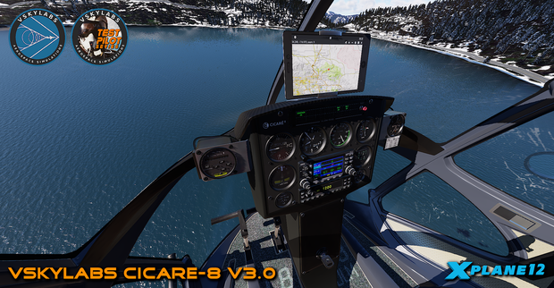 VSKYLABS Test-Pilot: Cicare-8 Project