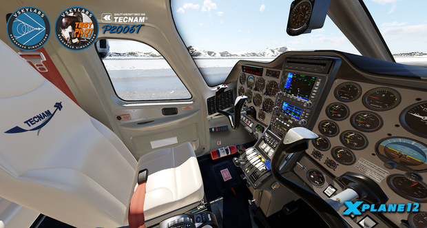 VSKYLABS Tecnam P2006T Project