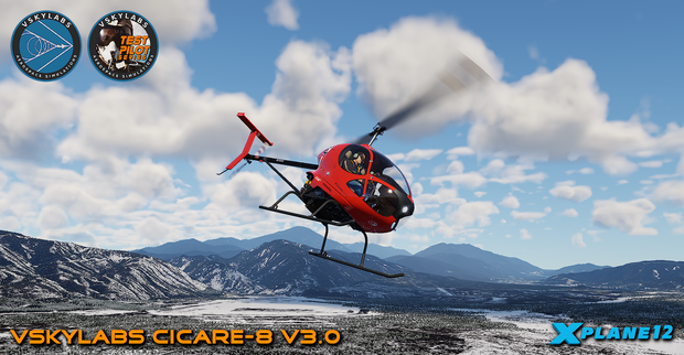 VSKYLABS Test-Pilot: Cicare-8 Project
