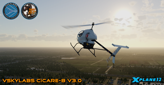 VSKYLABS Test-Pilot: Cicare-8 Project
