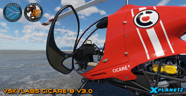 VSKYLABS Test-Pilot: Cicare-8 Project