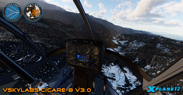 VSKYLABS Test-Pilot: Cicare-8 Project