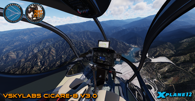 VSKYLABS Test-Pilot: Cicare-8 Project