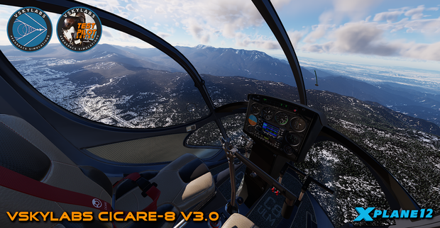 VSKYLABS Test-Pilot: Cicare-8 Project