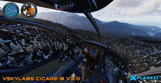 VSKYLABS Test-Pilot: Cicare-8 Project