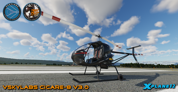 VSKYLABS Test-Pilot: Cicare-8 Project
