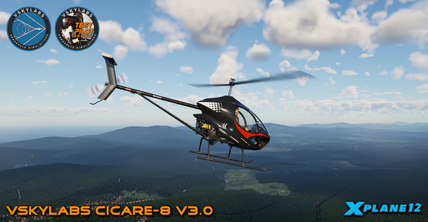 VSKYLABS Test-Pilot: Cicare-8 Project