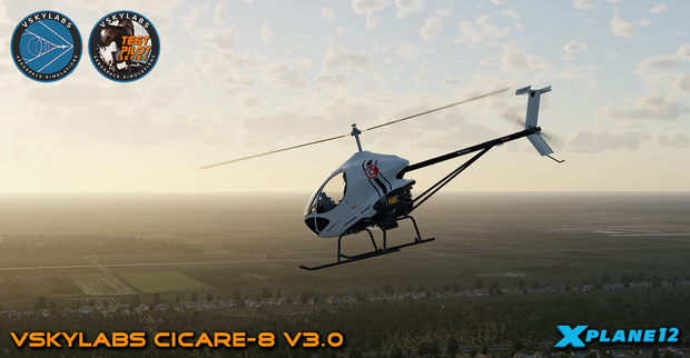 VSKYLABS Test-Pilot: Cicare-8 Project