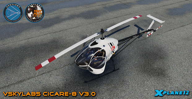 VSKYLABS Test-Pilot: Cicare-8 Project