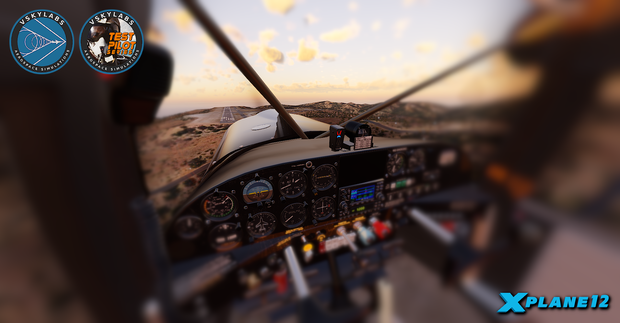 VSKYLABS Maule M-7-235B Project