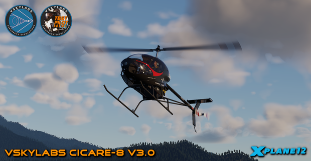 VSKYLABS Test-Pilot: Cicare-8 Project