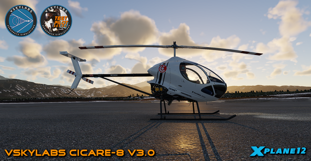 VSKYLABS Test-Pilot: Cicare-8 Project