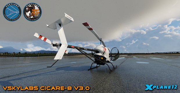 VSKYLABS Test-Pilot: Cicare-8 Project