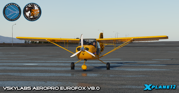 VSKYLABS Aeropro EuroFOX Project