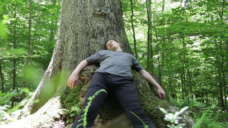 The Story of WILHEIM movie
