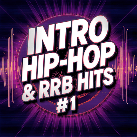 INTRO HIP HOP &amp; R&amp;B  HITS VOL 1 (51 items)