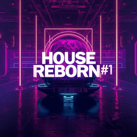 HOUSE REBORN #1 (24)