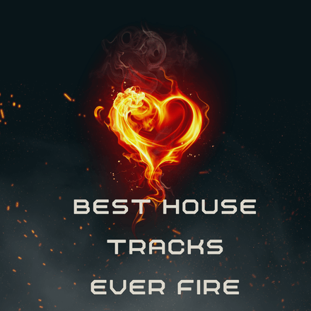 Best House Tracks Ever Fire  VOL 8 (50 items)