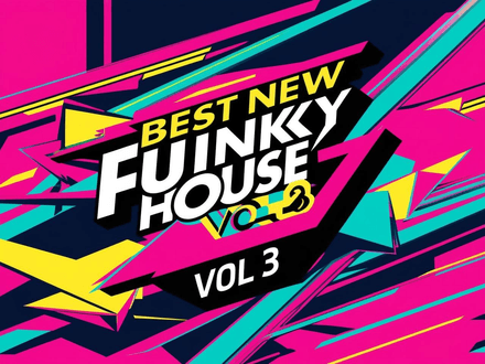 Best New Funky House  VOL 3 (40 items)