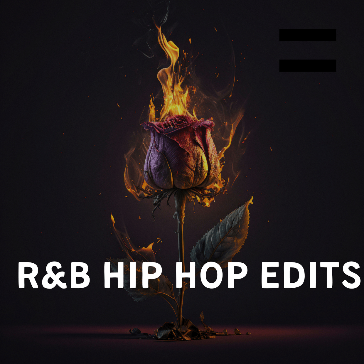 R B Hip Hop Edits Volume 4 42 Items