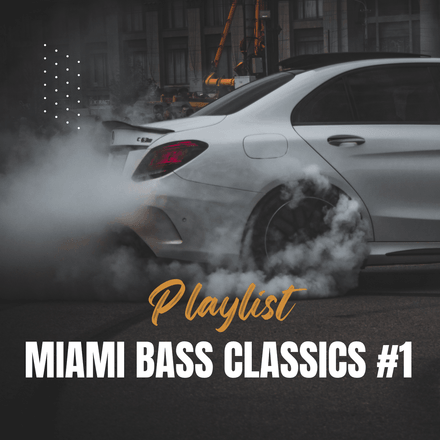 Miami Bass Classics #1 (40)