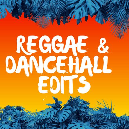 REGGAE &amp; DANCEHAL  Edits VOL 6 (50 items)