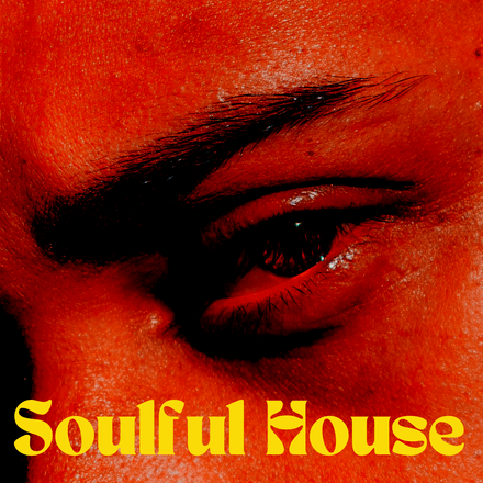 Soulful  HOUSE PARTY MIX VOL 2 (50 items)
