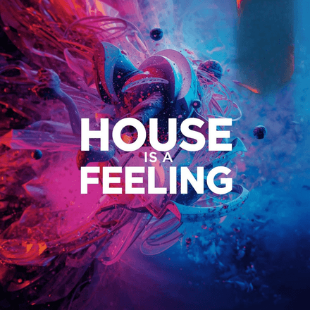 House is a Feeling Vol 3 (40)