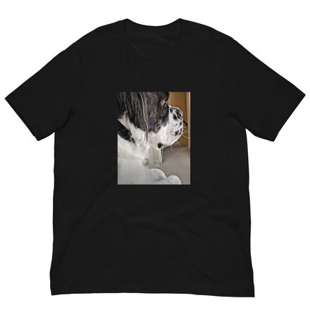 Phinn Shirt 2