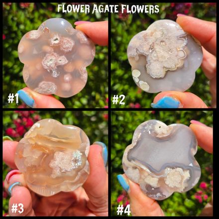 Flower Agate Crystal Flowers with Tiny Crystaline Druzy's