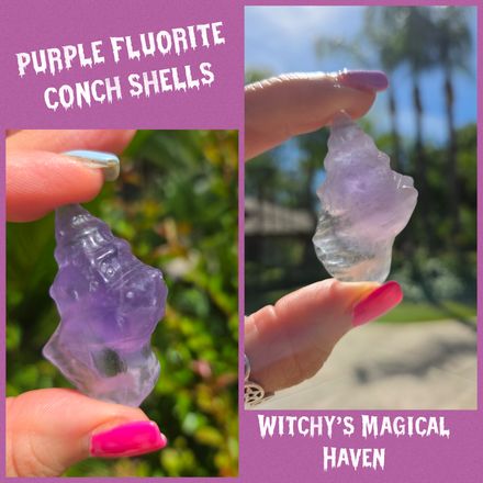 Purple Fluorite Hand-Carved Conch Shells