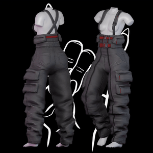 SKI/SNOWBOARD PANTS
