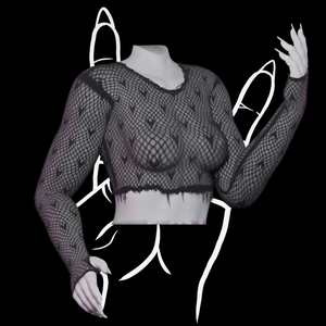 MESH LONG SLEEVE TOP